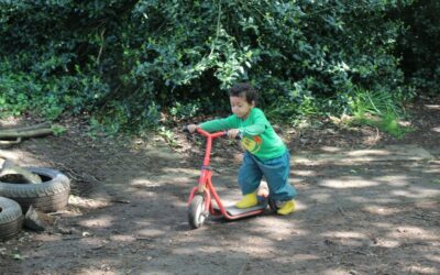 In Willow Room We Are Learning… (January 2026)