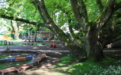 In Oak Room We Are Learning… (April 2025)