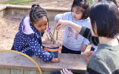 Little Hayes Newsletter – May 2025
