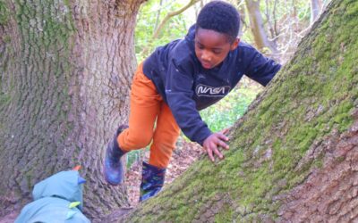 In Oak Room We Are Learning… (January 2026)