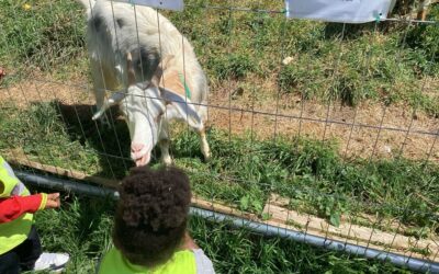 Speedwell’s Community Goats Trip
