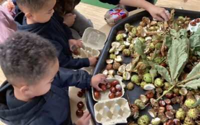In Oak Room We Are Learning… (September 2025)