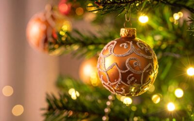 Speedwell Nursery School Christmas Term Dates