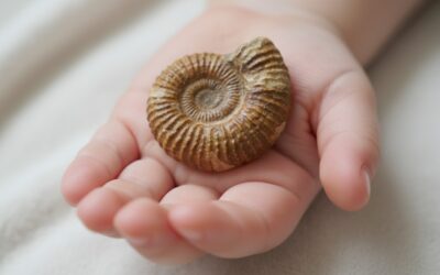 Museum Explorers Sessions at M Shed for Under 4s