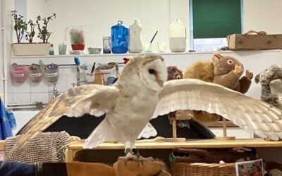 In Owl Room We Are Learning… (November 2025)