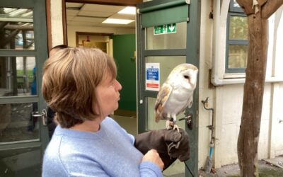 Speedwell Nursery School Welcomes Barn Owl and Little Owl Visit