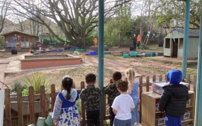 Goodbye to the Willow Tree at Little Hayes!