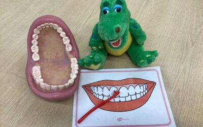 Toothbrushing and Dental Health