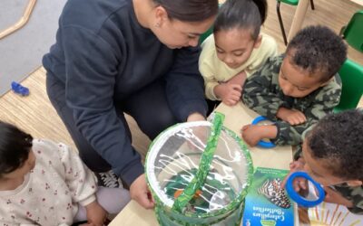 From Caterpillars to Butterflies at Little Hayes Nursery School