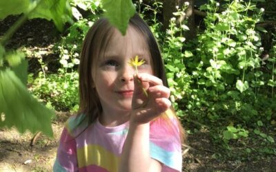 Potions, Shapes, Stories and Spring: What a Term at Speedwell Nursery School!
