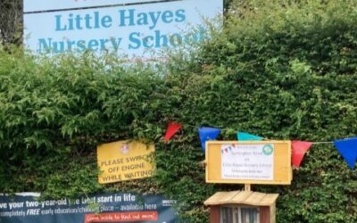 Exciting New Community Book Box at Little Hayes Nursery School